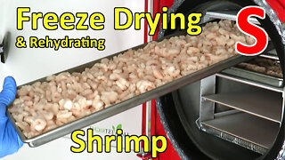 Freeze Drying and Rehydrating Shrimp