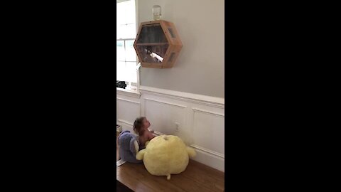 Baby Girl Fascinated By Wall-Mounted Glass Beehive