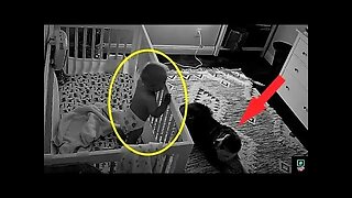 The camera recorded what this dog does at night with the baby!