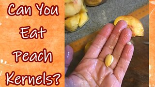 Are Peach Kernels Safe to Eat?