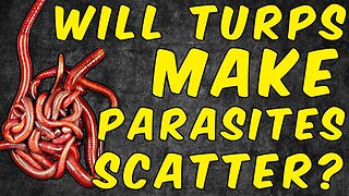 Will Turpentine Make Parasites Scatter?