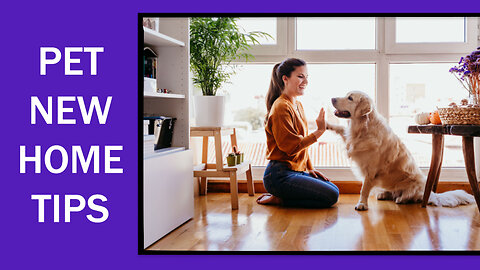 10 Expert Tips for Introducing a New Pet to Your Home - A Guide for Pet Lovers!