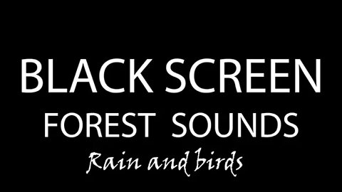 FOREST Sounds For Sleeping BLACK Screen - Nature Sounds (10 HOURS)
