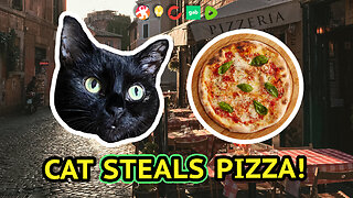 Vilma Cat The Impatient Pizza Thief