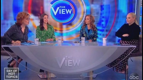 Meghan McCain rips Joy Behar on heated View' segment