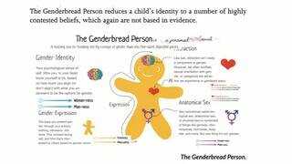 Trans Agenda Is Pushed Onto Children - UK Column News - 5th April 2023