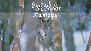 THE PROTEST SERIES: “Famine (MIA Video Mix)” by Sinéad O’Connor. [One of the Original 'Conspiracy Theorists'] #Forgiveness!