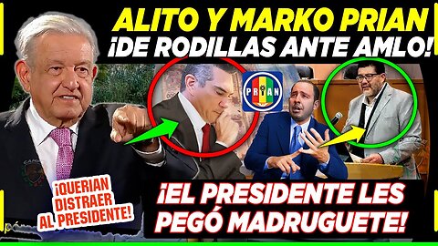 AMLO ¡ARRODILLA A ALITO Y MARKO CORTEZ AHORA! MAGISTRADO ¡LE PIDE PIEDAD AL PRESIDENTE!