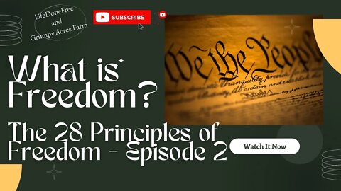 What is Freedom? 28 Principles of Freedom - Episode 2