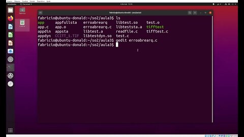 Códigos de Erro em Chamadas de Sistema e uso do stderror(errno) no Linux