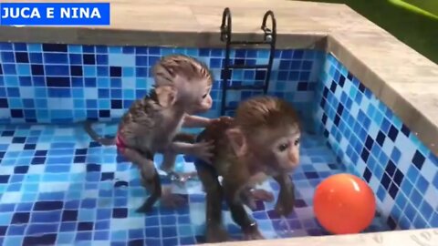 Nina and Juca Have Fun at the Pool, Very Cute!!!