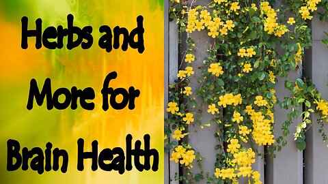 Herbs and More for Cognitive Function
