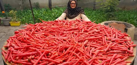 100 Kg Carrot Halwa