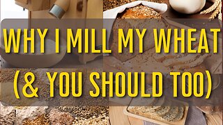 Why I Mill My Wheat (& You Should Too!!) | What is Freshly Milled Wheat? | REAL Bread FAQs