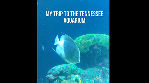 me go to aquarium (old)