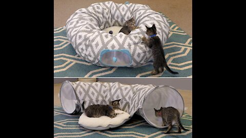 Kitty City Large Cat Tunnel Bed