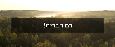 .דם הברית