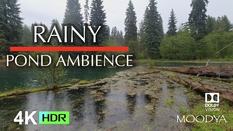 Nature Video - Mental Clarity - Calming Rainy Pond Sounds in HDR