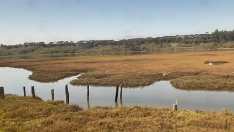 Test footage - California Amtrak Train ride