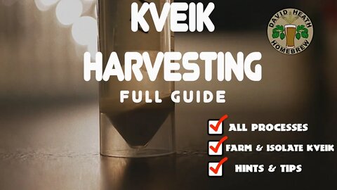 Kveik Yeast Harvesting Full Guide
