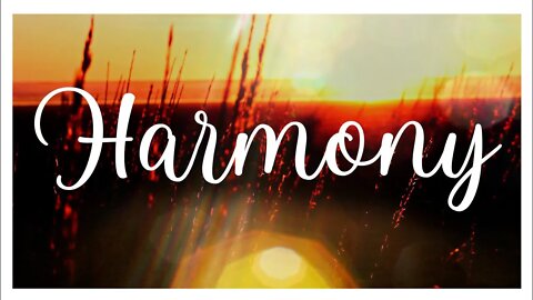 HARMONY! - BALANCE YOURSELF ! Remove toxins in your life. #balance #harmony #harmonymeditation