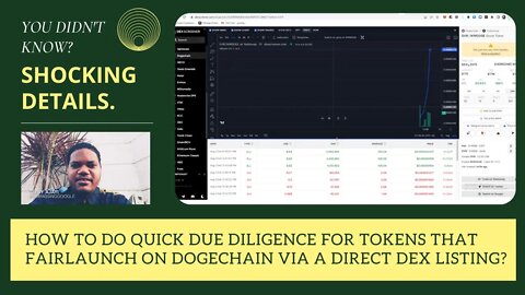 How To Do Quick Due Diligence For Tokens That Fairlaunch On Dogechain Via A Direct Dex Listing?