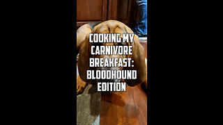 Cooking my Carnivore breakfast: Bloodhound Edition