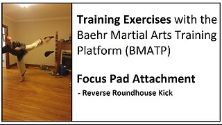 Training Exercises - Focus Pad - Reverse Roundhouse Kick