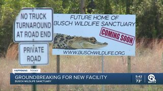 Busch Wildlife Sanctuary breaking ground on forever home in Jupiter Farms