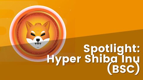 Leicester On Hyper Shiba Inu (BSC)