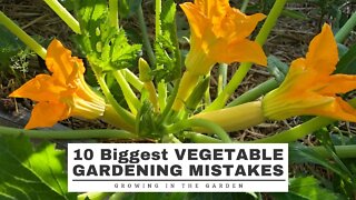 10 BIGGEST Vegetable GARDEN MISTAKES: And How to Avoid Them