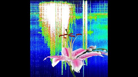 Schumann Resonance April 17 the Sacredness of Love and Sexuality