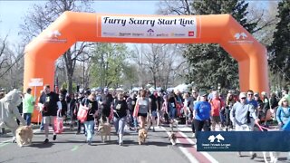 29th Furry Scurry This Saturday at Washington Park