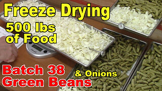 Freeze Drying Your First 500 lbs of Food - Batch 38 - Green Bean, canned, & Onions, raw, chopped