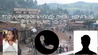 Ethio 360 Phone interview "በምስራቅ ወለጋና አካባቢው በአማራ ተወላጆች ላይ ምን እየተፈጸመ ነው?" Monday Dec 14, 2020