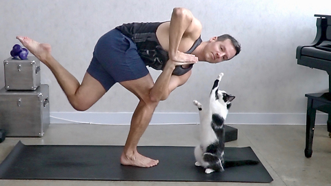 Needy Cats Repeatedly Interrupt Owner's Yoga Session