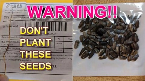 Mystery seeds in the mail? DON'T PLANT THEM!! Here is why.