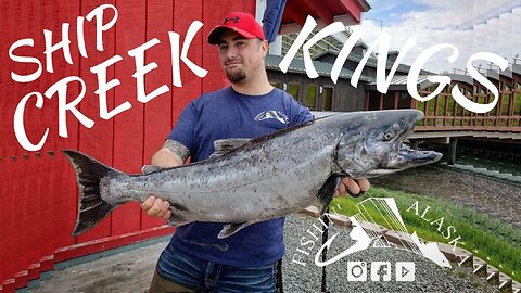 KING SALMON FISHING IN THE CITY! Ship Creek, Anchorage, Alaska #3