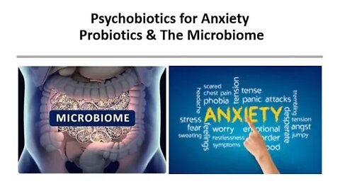 Psychobiotics for Anxiety - Probiotics, Prebiotics & Microbiome Health - Gut Brain Axis