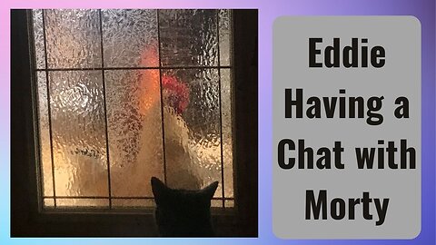 Chicken Eddie talks to Morty
