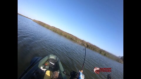 KAYAK FISHING BEAUFORT SC SHEEPS &RED