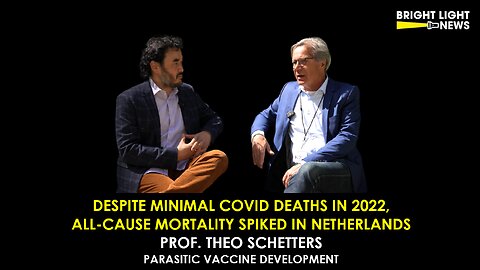 Despite Minimal Covid Deaths, All-Cause Mortality Spiked in Netherlands -Prof. Theo S