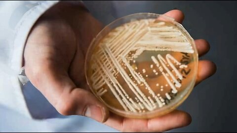 Novo antifúngico promissor combate fungos resistentes