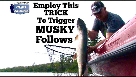 Employ This TRICK to TRIGGER More Muskies That Follow