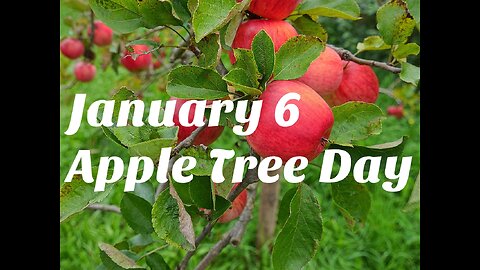 Apple Tree Day