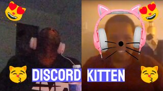 I Love My Discord Kitten! 😻