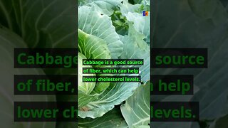 Top 5 Benefits of Cabbage #cabbage