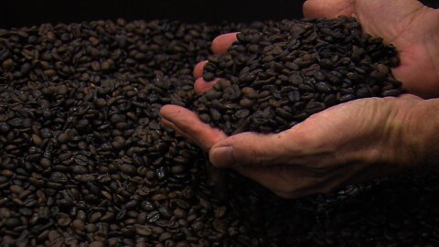 A Sustainable Coffee Company