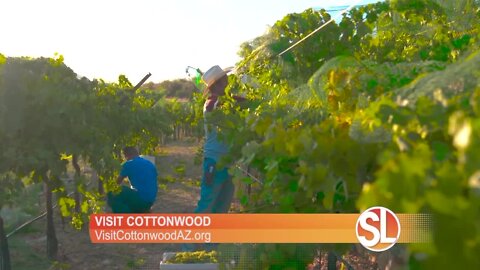 Visit Cottonwood in the heart of Arizona wine country