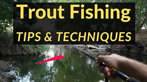 Trout Fishing Tips Tricks & Tactics on the Lower Provo River Utah